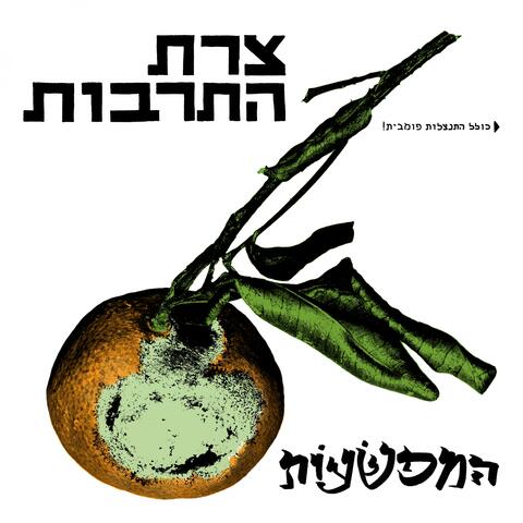 צרת התרבות