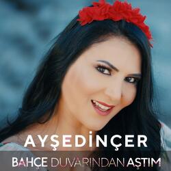 Bahçe Duvarından Aştım