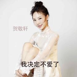 我决定不爱了