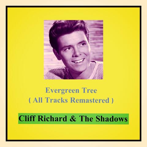 Evergreen Tree