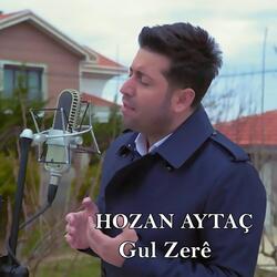 Gul Zerê