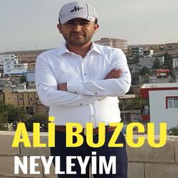 Yavzelinde