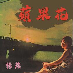 花兒頭上插
