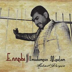 Ali Gördüm (Zikirli)