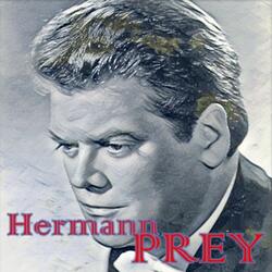 Eichendorff Lieder, IHW 7: No. 18, Erwartung