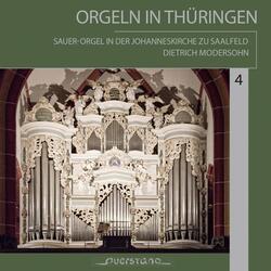 Orgelsonate in C Minor "Der 94 Psalm": II. Allegro con fuoco