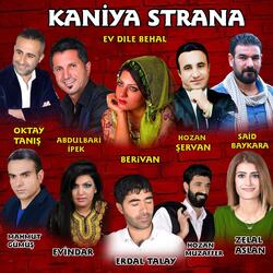 Derde Dıla