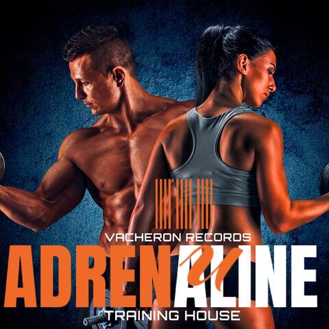 Adrenaline, Vol. 3