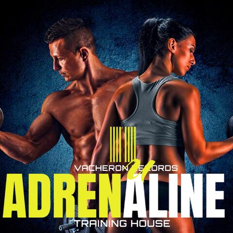 Adrenaline, Vol. 2