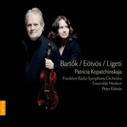 Violin Concerto: V. Appassionato. Agitato molto