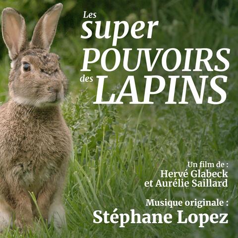 Les super pouvoirs des lapins
