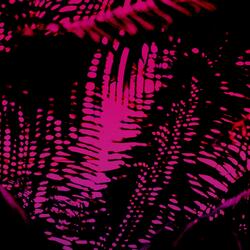 Pink Noise
