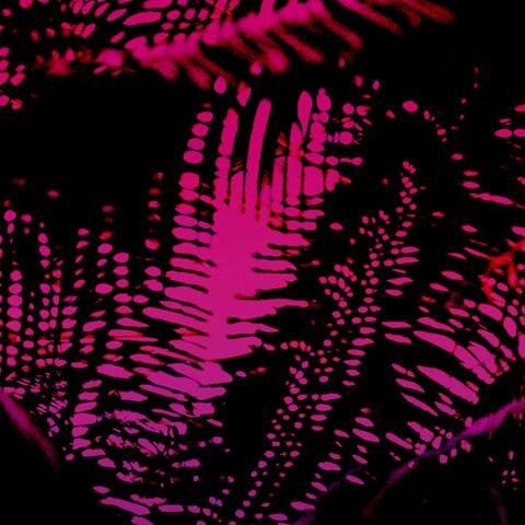 Pink Noise