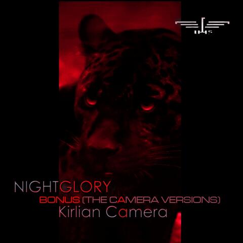 Nightglory Bonus