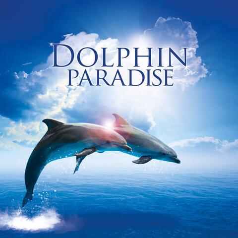 Dolphin Paradise