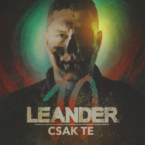 Csak te