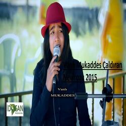 Çaldıran Newrozu 2015