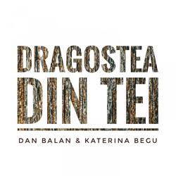 Dragostea Din Tei