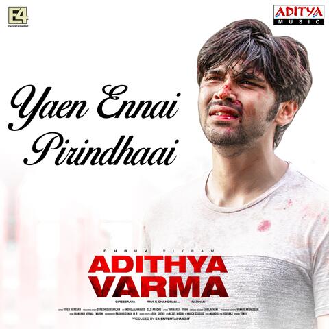 Yaen Ennai Pirindhaai