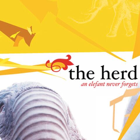 An Elefant Never Forgets