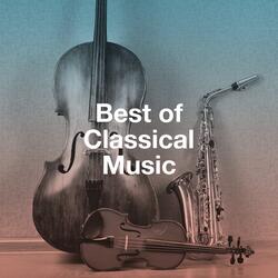 Serenade for Strings, Op. 22, B. 52: IV. Larghetto