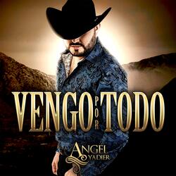 Vengo por Todo