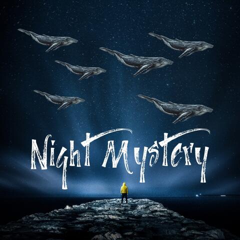 NIGHT MISTERY