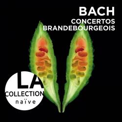 Brandenburg Concerto No. 3 in G Major, BWV 1048: I. —