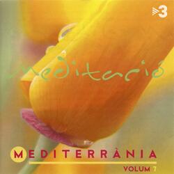 Meditació, Pt. 1