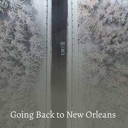 Going Back To New Orleans