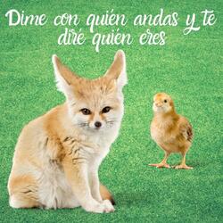 Lento Y Contento