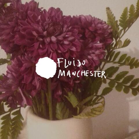 Fluido Manchester