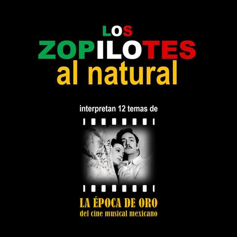 Los Zopilotes
