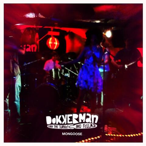 Dokkerman & the Turkeying Fellaz