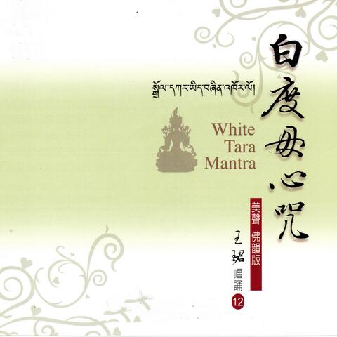白度母心咒