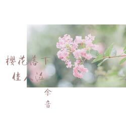 樱花落下佳人泣