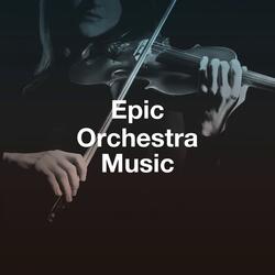 Horn Concerto No. 3 in E-Flat Major, K. 447: I. Allegro