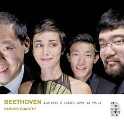 Quatuor à cordes No. 8 in E Minor, Op. 59 No. 2: I. Allegro
