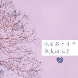 你是我一生中最美的风景