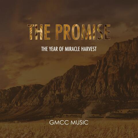 The Promise