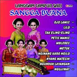 Ngunduh Layangan