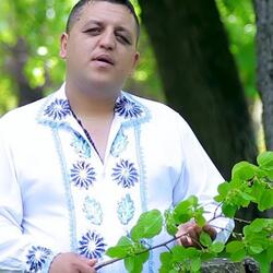 Vulpita Si Viorel