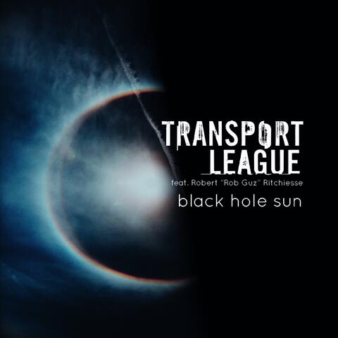 Black Hole Sun