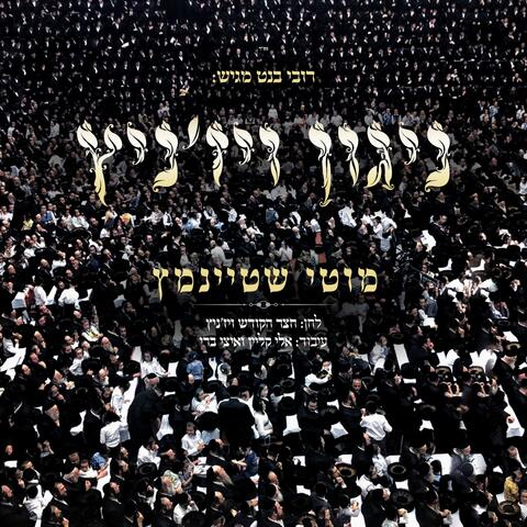 ניגון ויז'ניץ