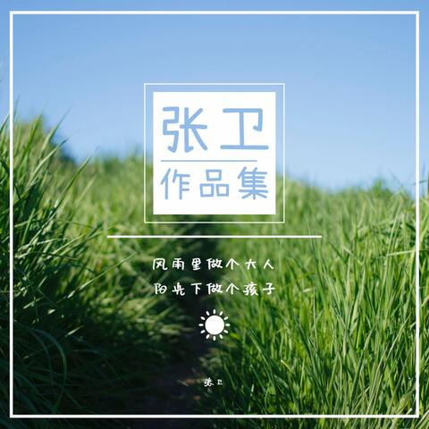 张卫作品集