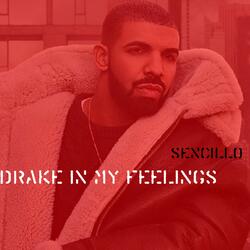 Drake In My Feelings