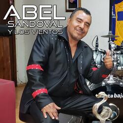 Par de Anillos