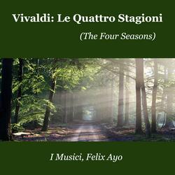 Concerto No. 2 In G Minor, Op.8 Rv 315, "L'estate" (Summer): 3. Adagio-Presto-Adagio