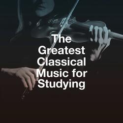 Violin Sonata No. 10 in G Major, Op. 96: I. Allegro Moderato