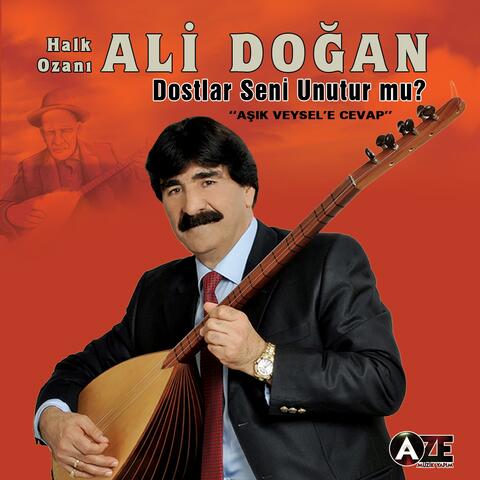 Dostlar Seni Unurur mu?